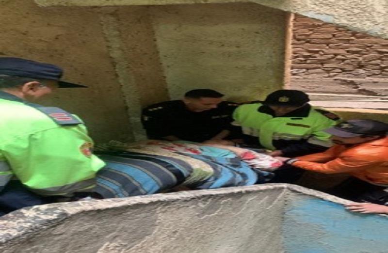 بوابة المصريين