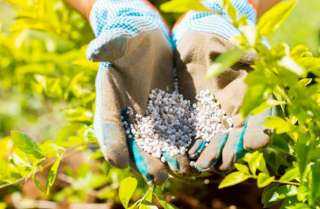 أسعار الأسمدة بالأسواق والجمعيات الزراعية اليوم الثلاثاء 2 ديسمبر2025