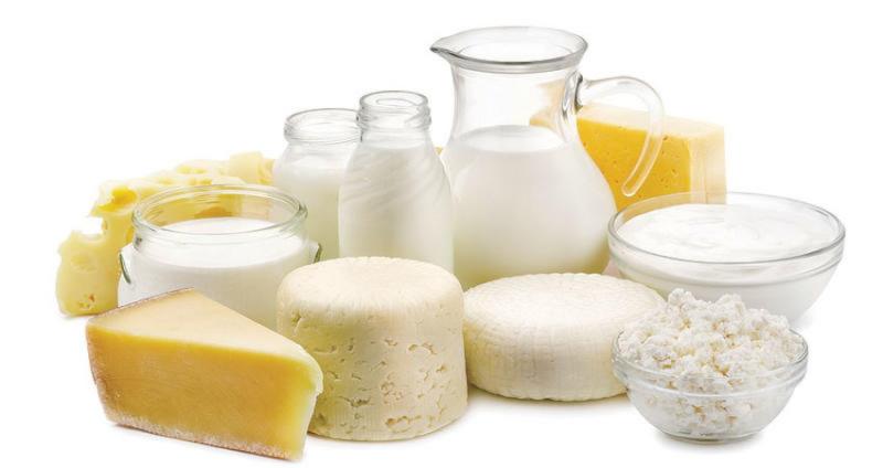 بوابة المصريين