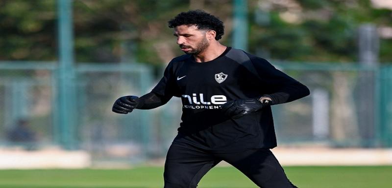 بوابة المصريين