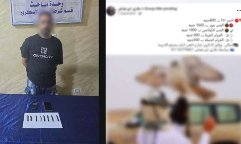 بوابة المصريين