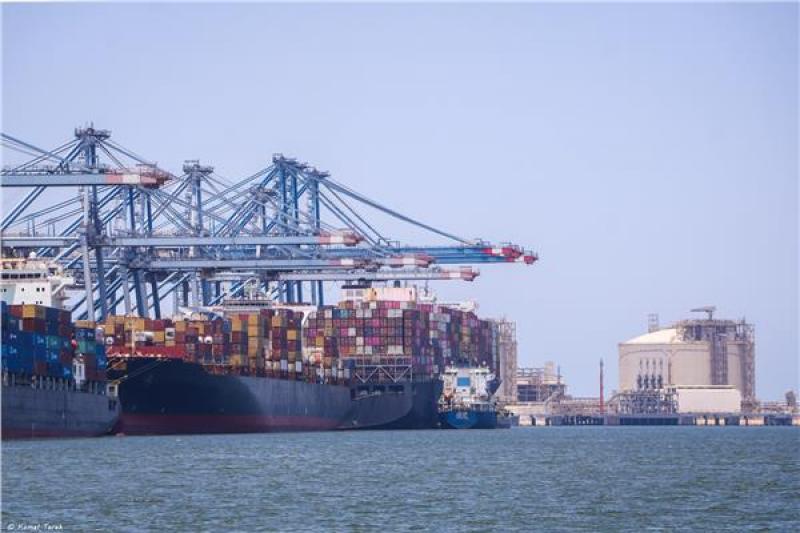 بوابة المصريين