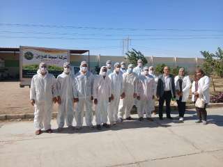 ”الزراعة” تُطلق حملة وطنية لتوعية مربي الدواجن بإجراءات الأمن الحيوي