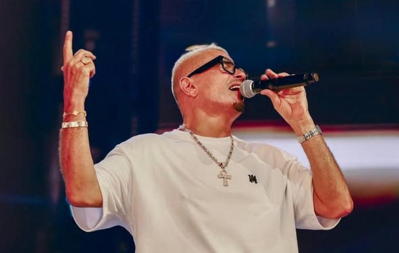 بوابة المصريين