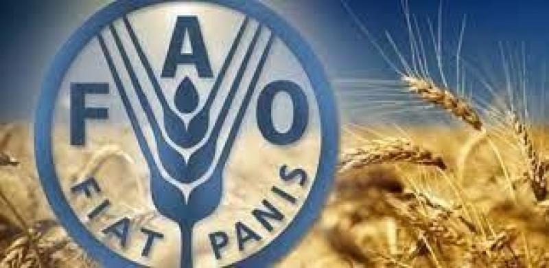 بوابة المصريين