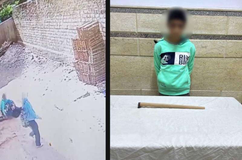 بوابة المصريين