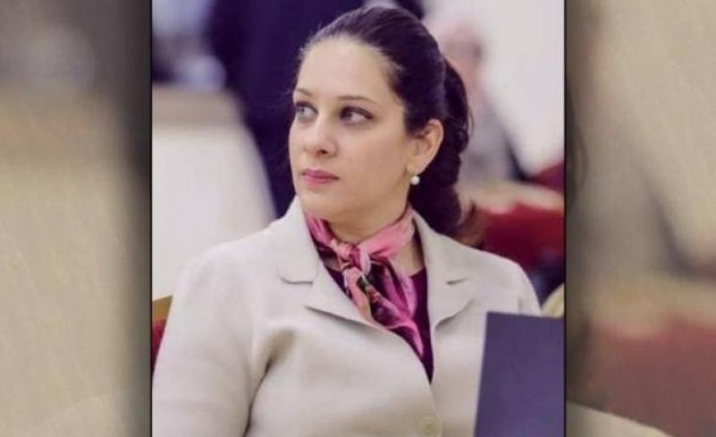 بوابة المصريين