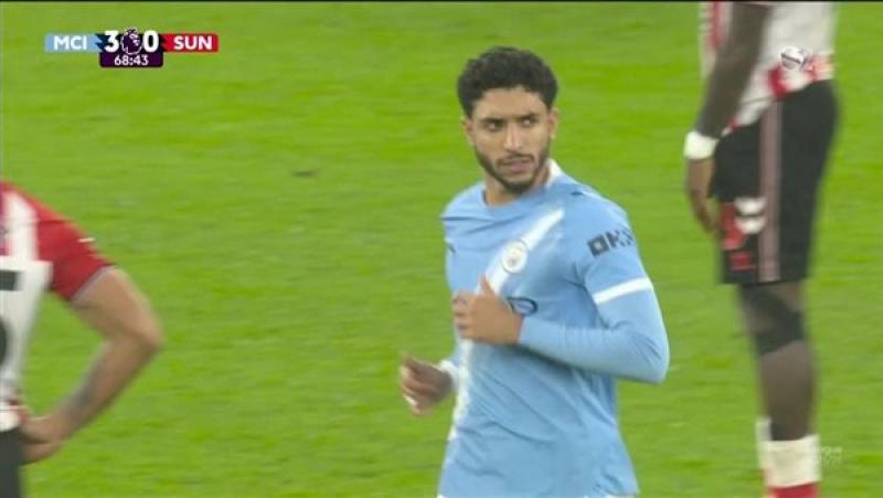 بوابة المصريين