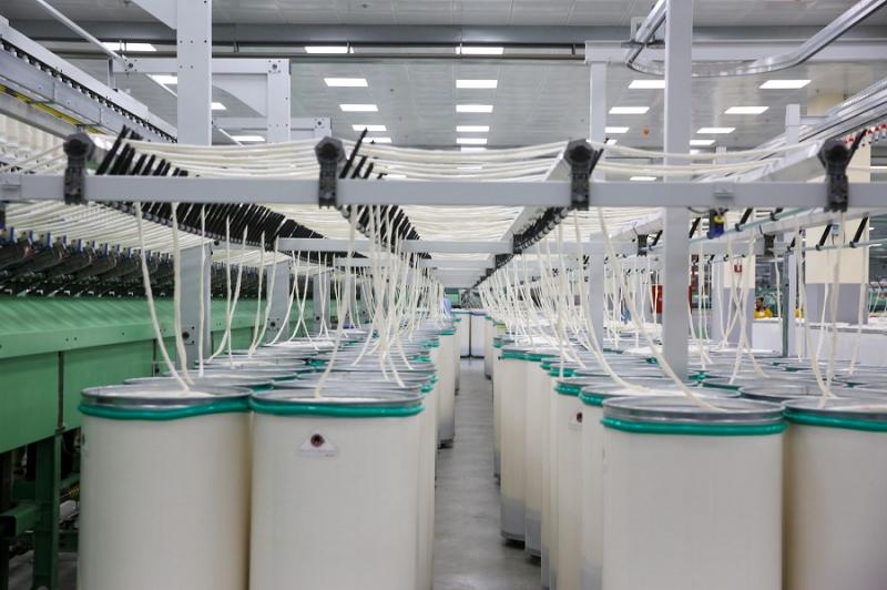 بوابة المصريين