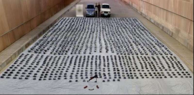 بوابة المصريين