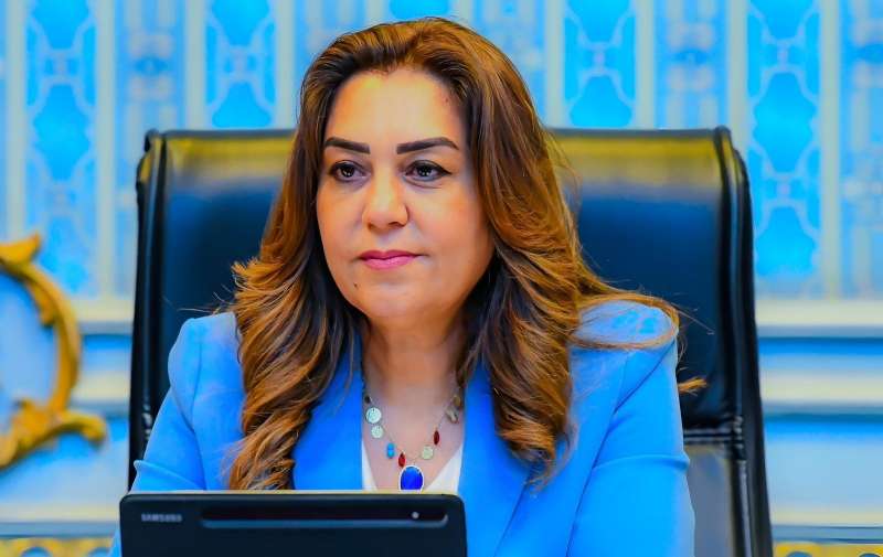 بوابة المصريين