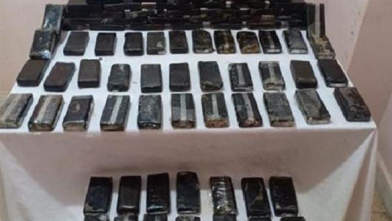 بوابة المصريين