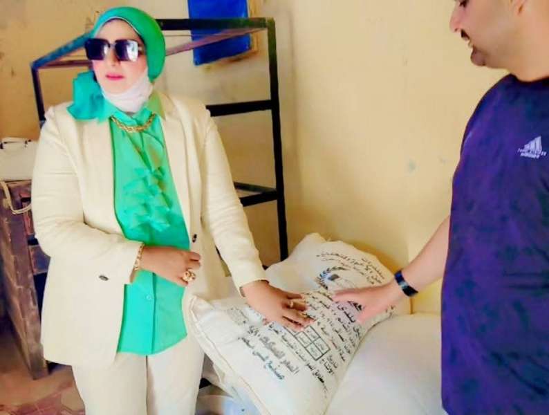 بوابة المصريين