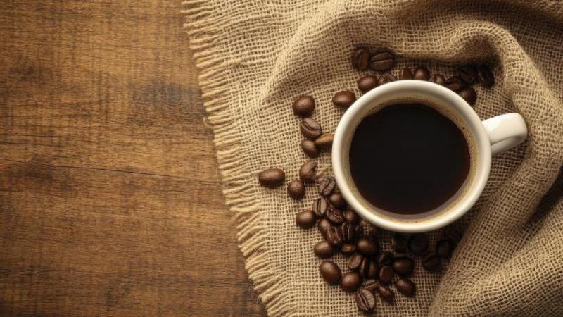 بوابة المصريين