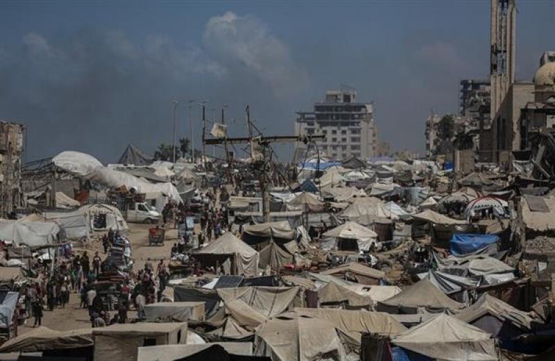 بوابة المصريين