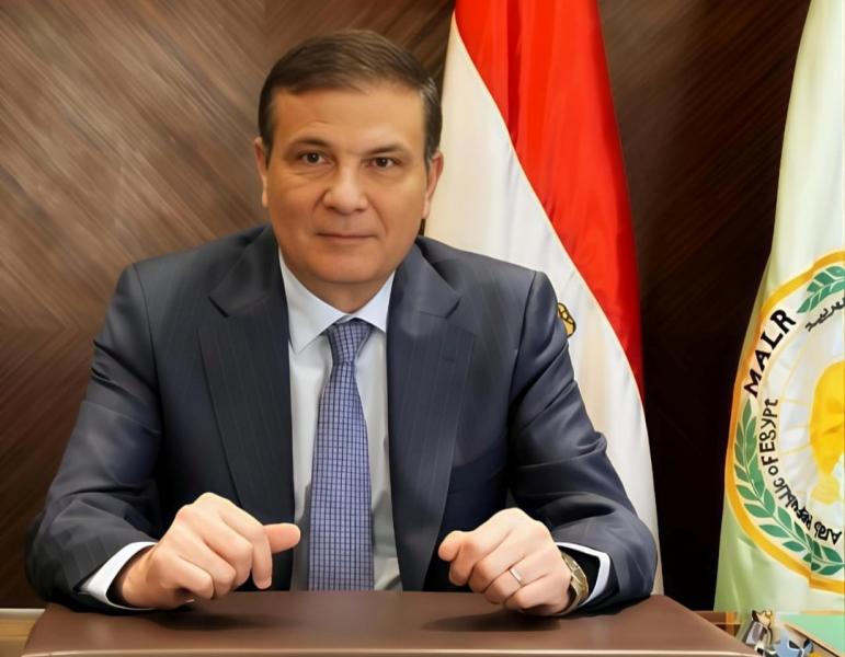 بوابة المصريين