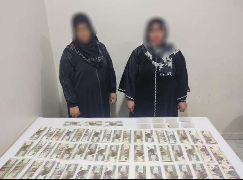 بوابة المصريين