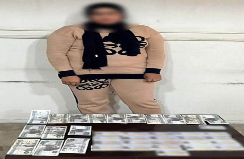 بوابة المصريين