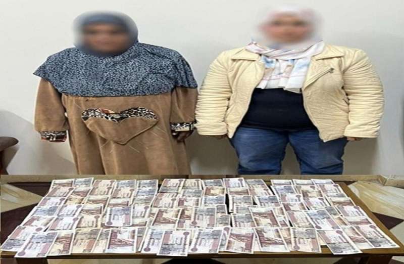 بوابة المصريين