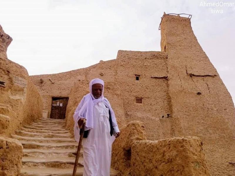 بوابة المصريين