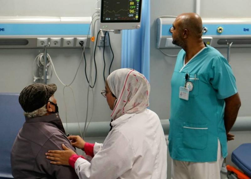 بوابة المصريين