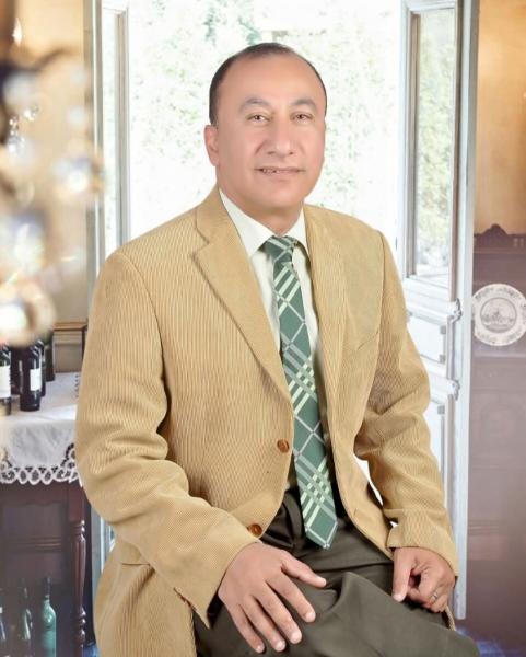 بوابة المصريين