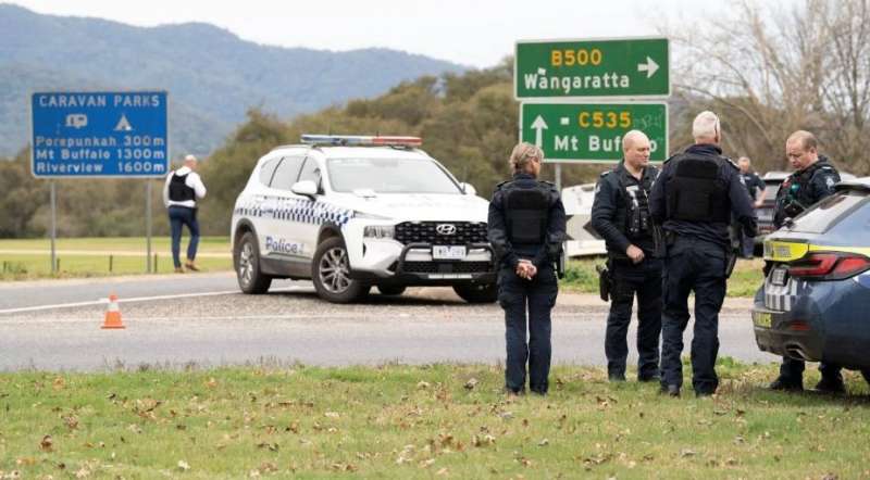 بوابة المصريين