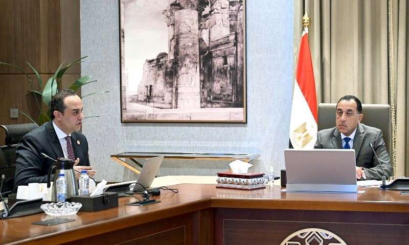 بوابة المصريين