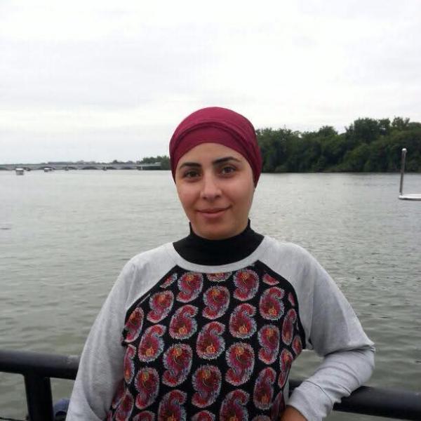 بوابة المصريين