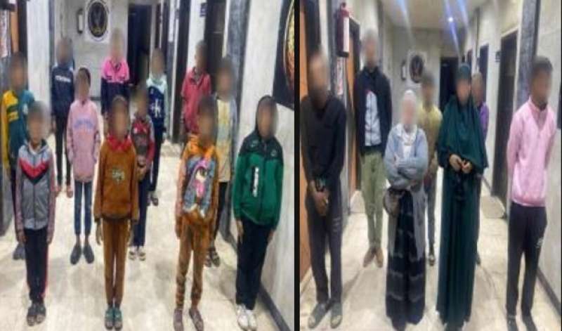 بوابة المصريين