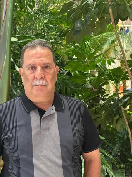 بوابة المصريين