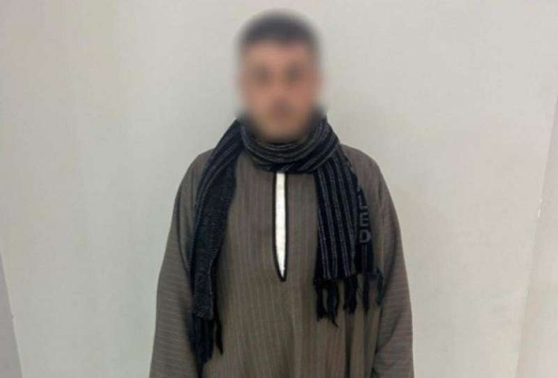 بوابة المصريين