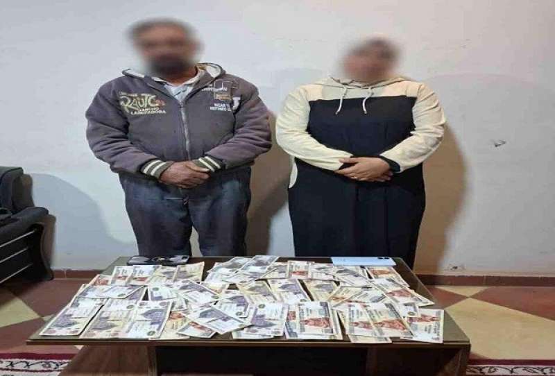 بوابة المصريين