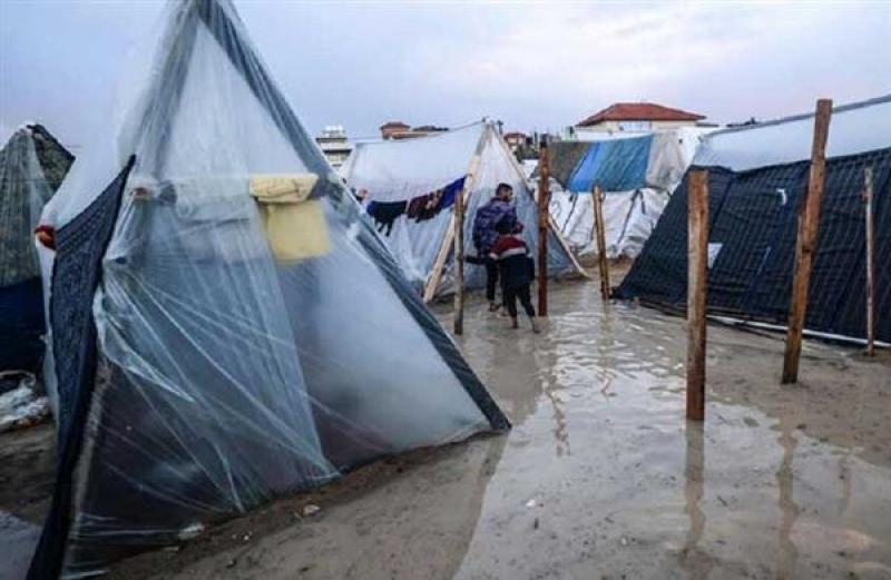 بوابة المصريين