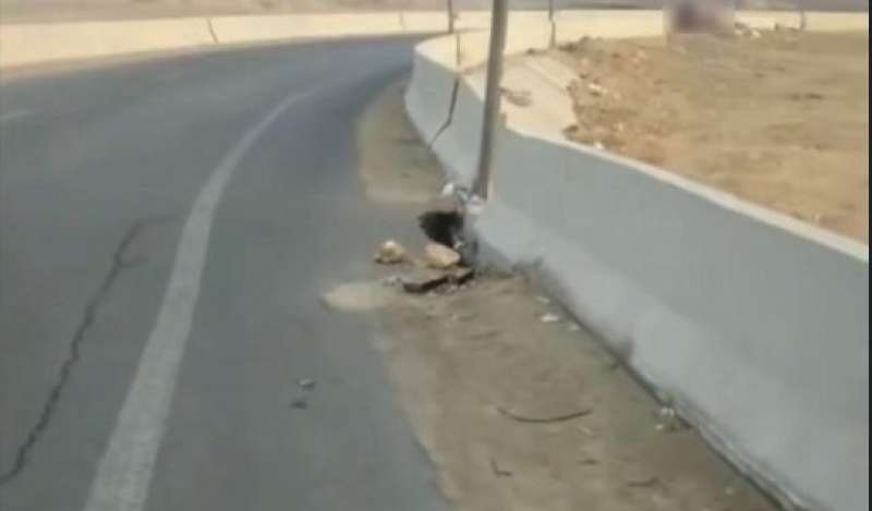 بوابة المصريين