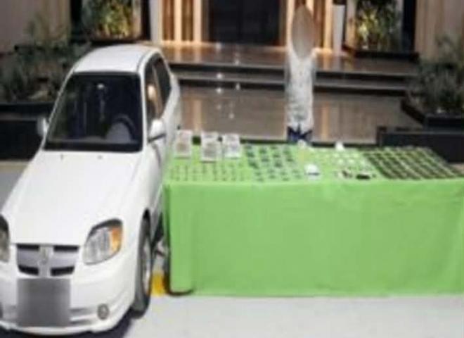 سقوط بؤر خطيرة بالدقهلية.. مصرع 4 عناصر إجرامية وضبط مخدرات بـ 69 مليون جنيه