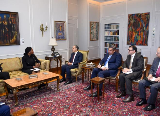 وزير الخارجية يؤكد الحرص على زيادة الشراكات الاستثمارية بين مصر وجنوب أفريقيا| صور