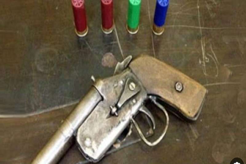 بوابة المصريين