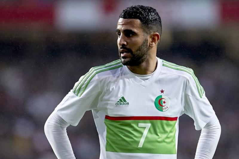 بوابة المصريين