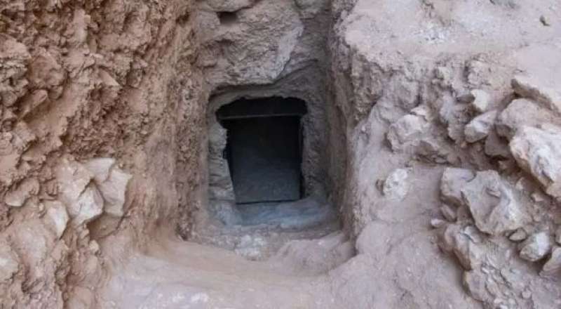 بوابة المصريين