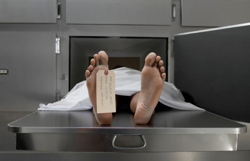 بوابة المصريين