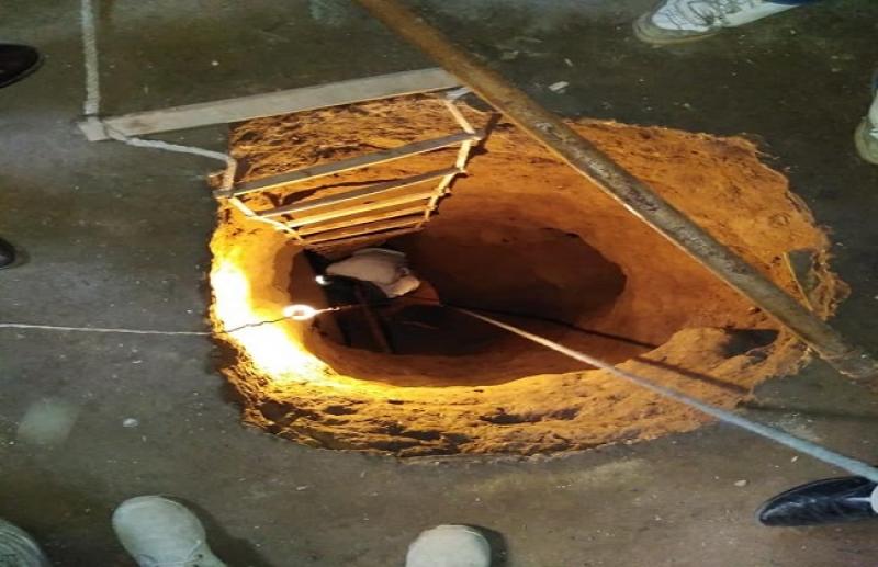 بوابة المصريين