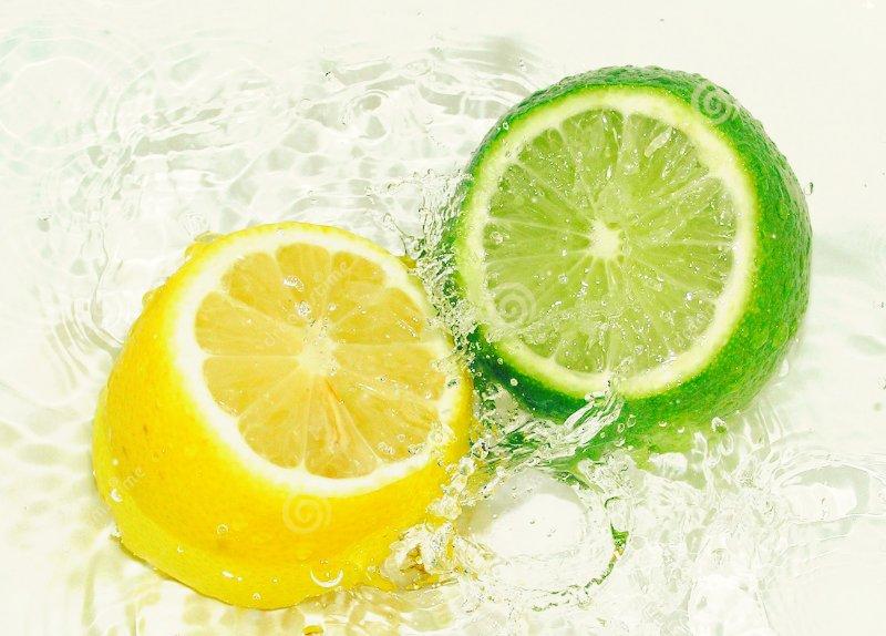 بوابة المصريين