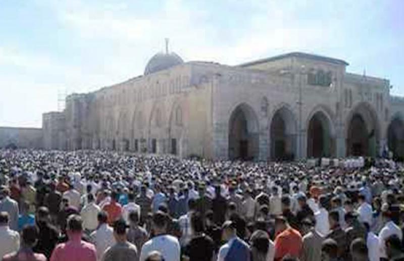 بوابة المصريين