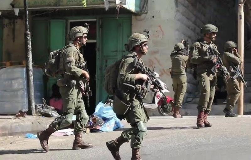 بوابة المصريين