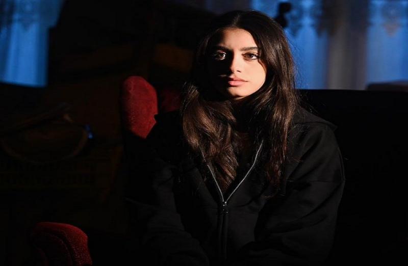 بوابة المصريين