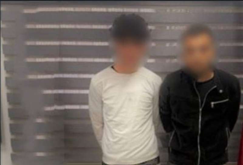 بوابة المصريين