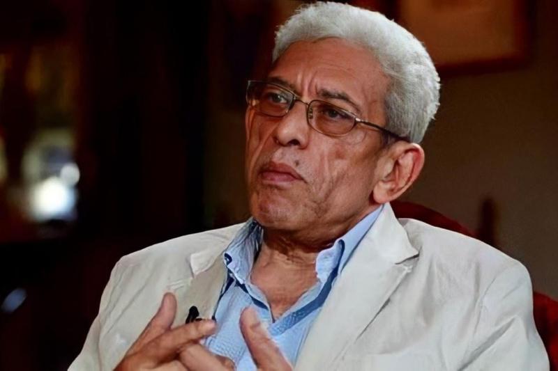 بوابة المصريين