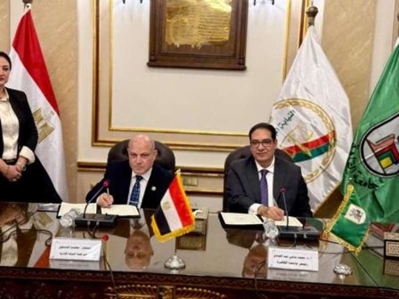 بوابة المصريين