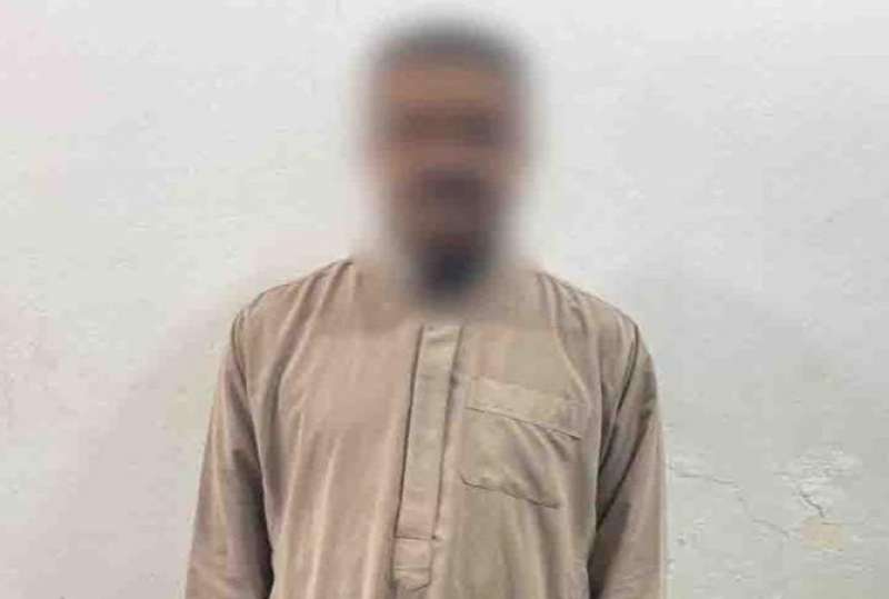 بوابة المصريين